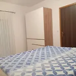 Suzana Apartment