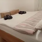Suzana Apartment